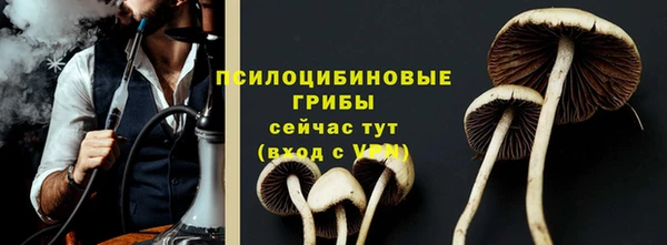 твердый Медвежьегорск