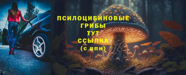 твердый Медвежьегорск