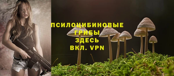 прущий лед Медногорск