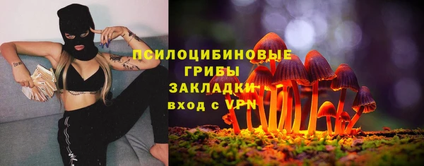 твердый Медвежьегорск